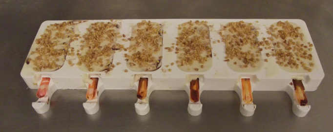 moule rempli chocolat et vanille